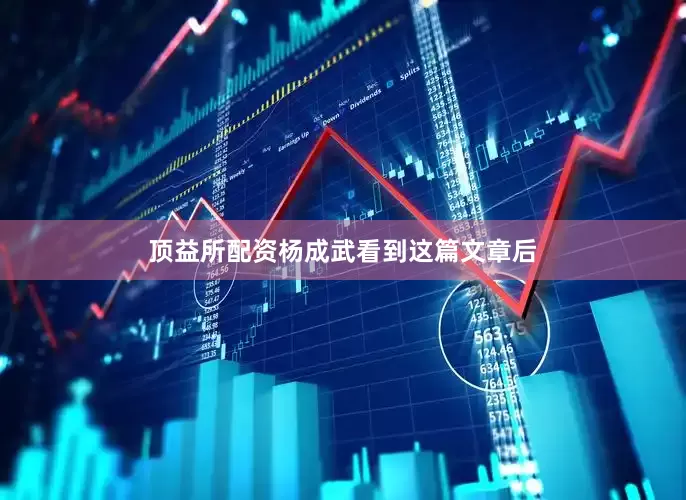 顶益所配资杨成武看到这篇文章后